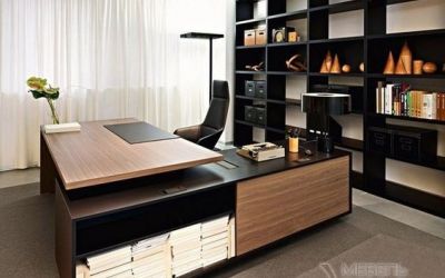 Фото №11 - Мебель для кабинета на заказ